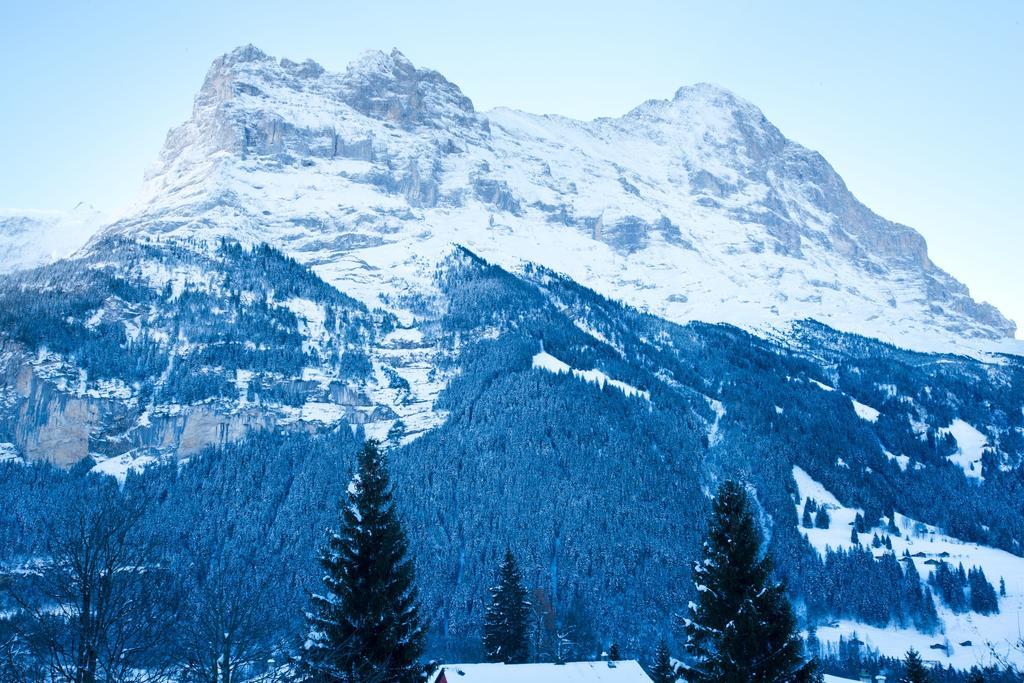 Bernerhof Residence Grindelwald Bagian luar foto